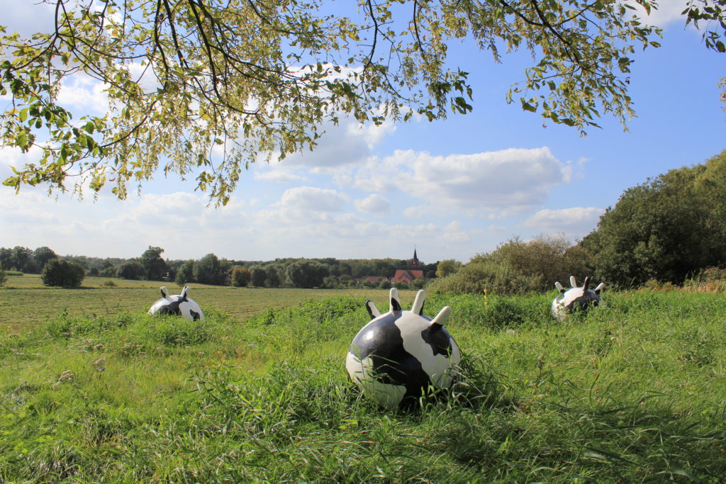 Kuriere Foto: Heiko Bansen