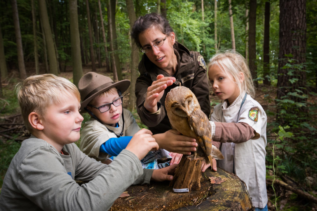 Naturparknacht, Junior-Ranger bestaunen einen Waldkauz, Foto (c) Sebastian Hennigs